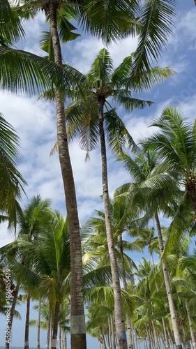 Wallpaper Mural Tropical Paradise Beach with Palm Trees in Bohol, Philippines Torontodigital.ca