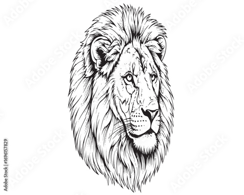 Lion vector 