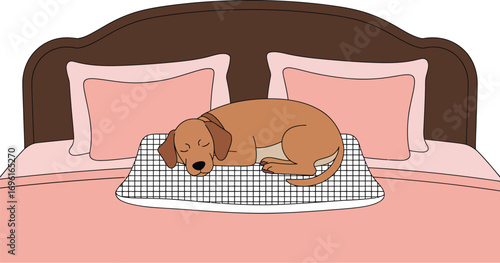 Illustration of a dog sleeping on a checkered mat on a pink bed with brown headboard and pillows
