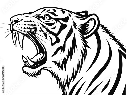 tiger head vector