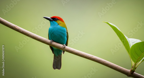 Vibrant tanager perched gracefully on a branch amidst lush green foliage in nature's embrace