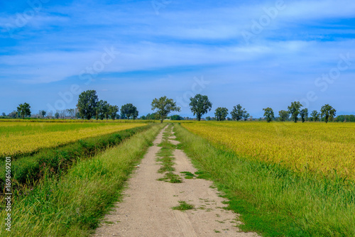 Country landscape near Noviglio, in Milan province, Italy