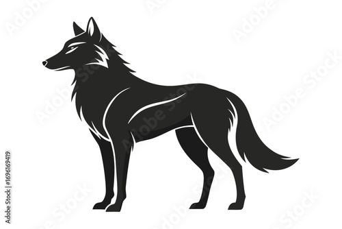 Vector illustration of a wolf running in nature