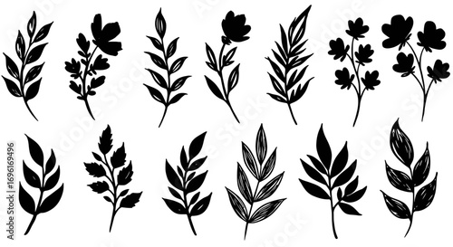 Twelve black botanical drawings featuring flowers sprigs and leaves against a white background