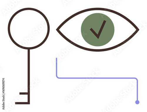 Key alongside eye icon with green verification checkmark and minimalist line detail. Ideal for security, authentication, identity verification, technology, privacy, access, digital safety. Simple