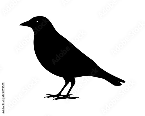 Silhouette of a small black bird standing on the ground against white