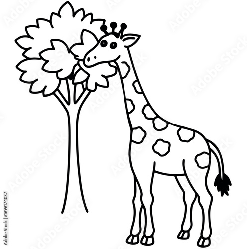 A majestic giraffe gracefully eats leaves from a tall acacia tree