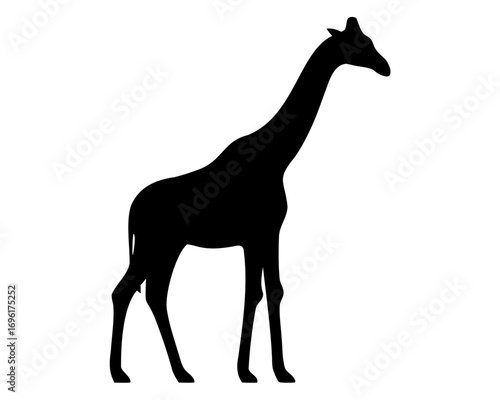 Silhouette of a giraffe standing tall with a long neck and legs