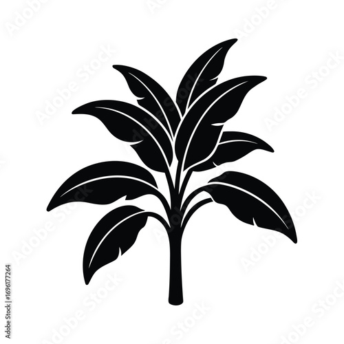 Banana Plant Icon