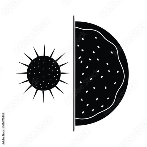 Melanoma vs Benign Mole Comparison