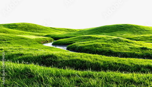 Serene grassy hill with gentle stream flowing through lush landscape and space for text on white background