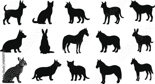 Silhouette of various animals, including dogs, horses, and rabbits, showcasing diverse shapes and forms in black 