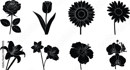 Silhouette of various flowers, showcasing the diverse beauty and intricate details of floral shapes in black 