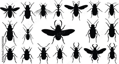 Collection of insect silhouettes showcasing various species and forms, highlighting diversity and intricate details