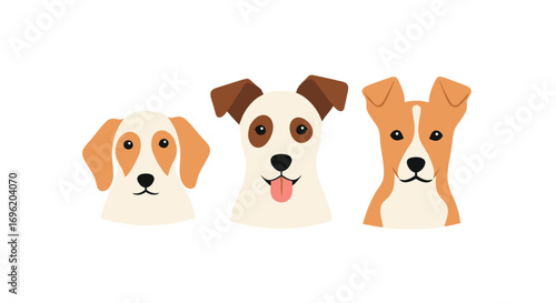 Three adorable dogs with different coats and ear styles expressing joyful emotions