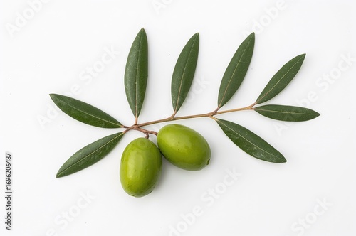 Wallpaper Mural A single green olive branch displayed against a clean white background as a package design element Torontodigital.ca