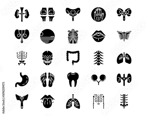 Human Anatomy Line Vector Icons