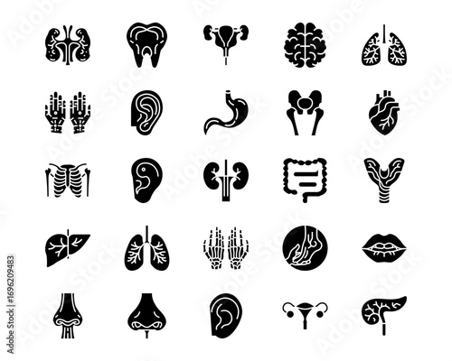 Human Anatomy Line Vector Icons