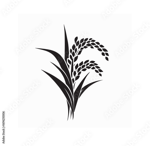 Rice Plant Logo Vector Images . Black and white Rice Plant Logo Vector on white background
