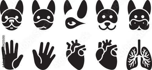 Simple black and white icons of animal faces, hands, heart, and lungs.