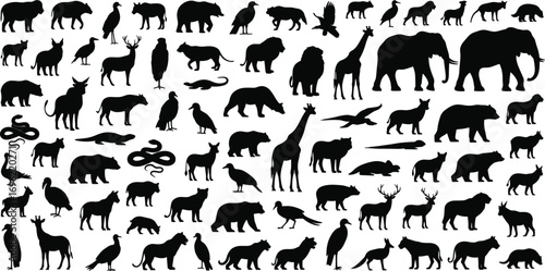 Silhouettes of wild animals, birds, reptiles, and mammals in various poses, diverse wildlife, nature silhouettes collection, isolated on white background
