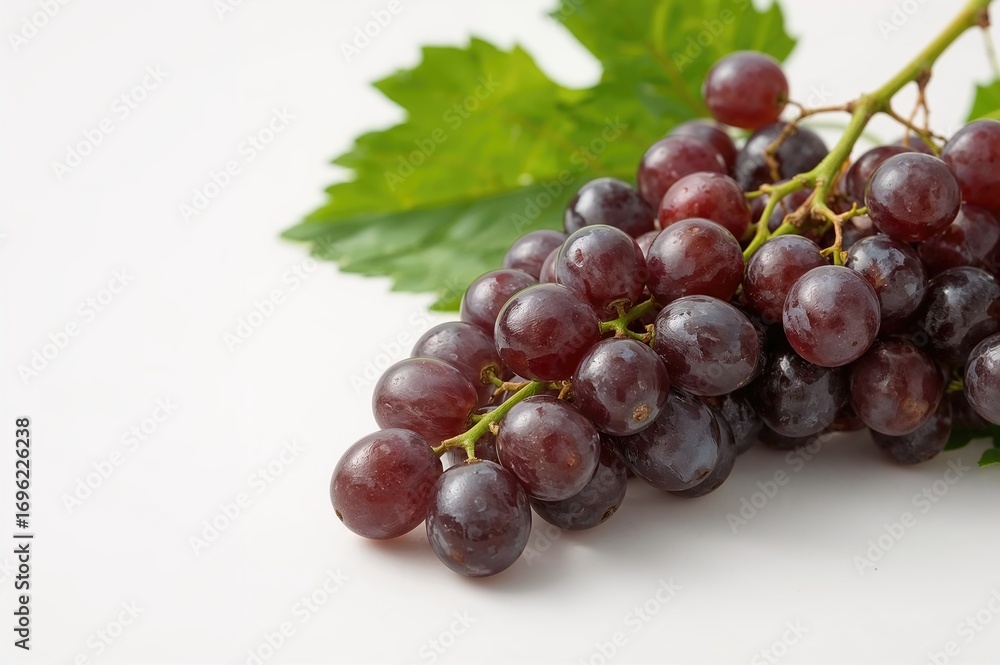 Obraz premium Close-up of dark grapes with leaves on a plain white surface, isolated fruit for wine and nature themes