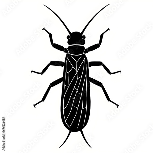 A stonefly silhouette vector style