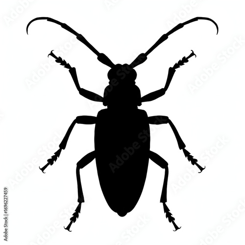 A wallace's longhorn beetle silhouette vector style