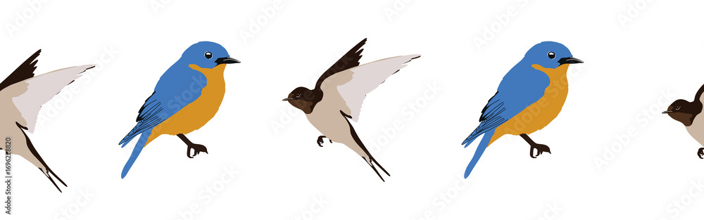 Obraz premium Bird con border. Bird feather silhouette symbol. Bird border isolated on a white background