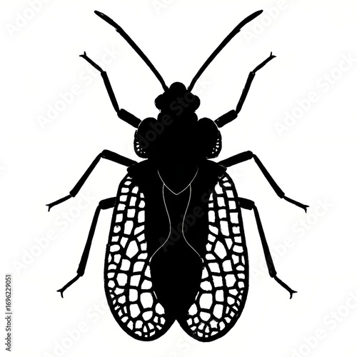 A lace bug silhouette vector style