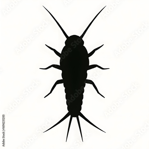 A silverfish silhouette vector style
