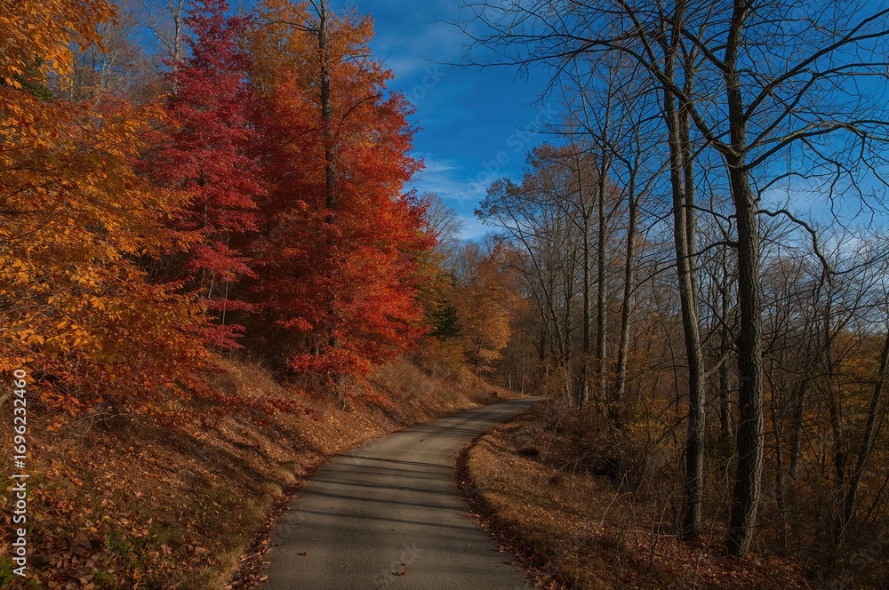 Obraz premium A curving trail surrounded by bright red, orange, and yellow autumn leaves on a fresh fall morning