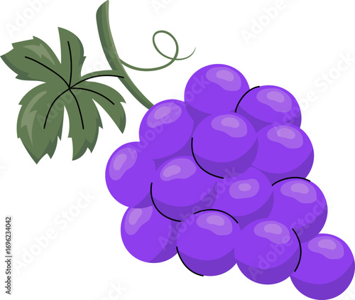 Bunch of Grapes Vector Illustration