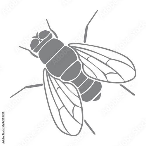 drosophila icon