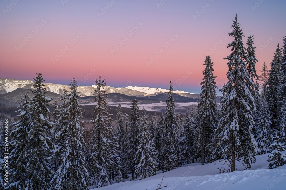 Obraz premium A breathtaking scene of a winter woodland blanketed in snow during dusk, featuring towering pine trees and a colorful sky.
