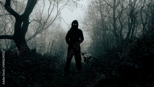 A threatening supernatural figure with glowing eyes, Silhouetted on a spooky foggy winters day in a forest