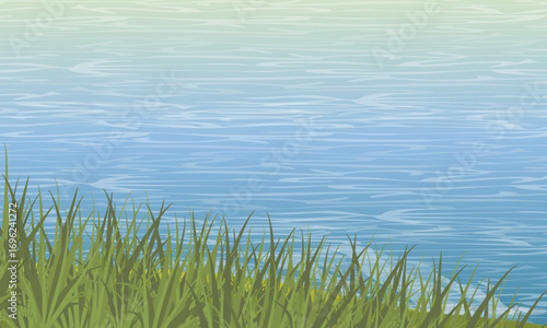Lake or river bank with lush green grass growing on it. Realistic vector landscape. Habitat
