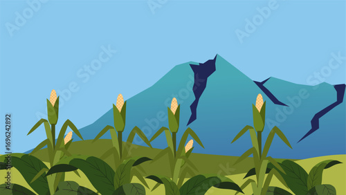 Corn field landscape flat illustration