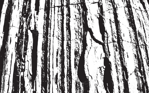 Abstract Black and White Vector Illustration of Tree Bark for Graphic Design
