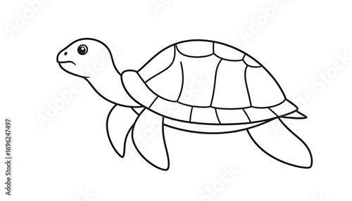 Simple black and white outline drawing of a turtle