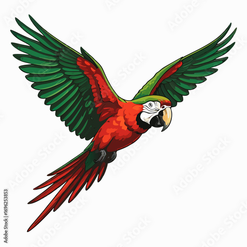 Vibrant red and green macaw parrot illustration in midflight with wings fully spread.