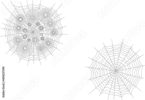 Two Gray Spiderwebs Intricate Design on White Background Halloween Themed Decoration