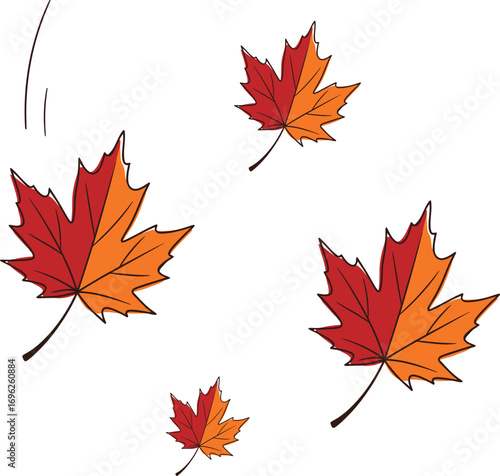 Hand drawn illustration of colorful autumn maple leaves falling.