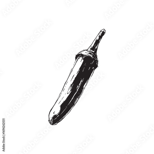 Okra Vector (2).eps