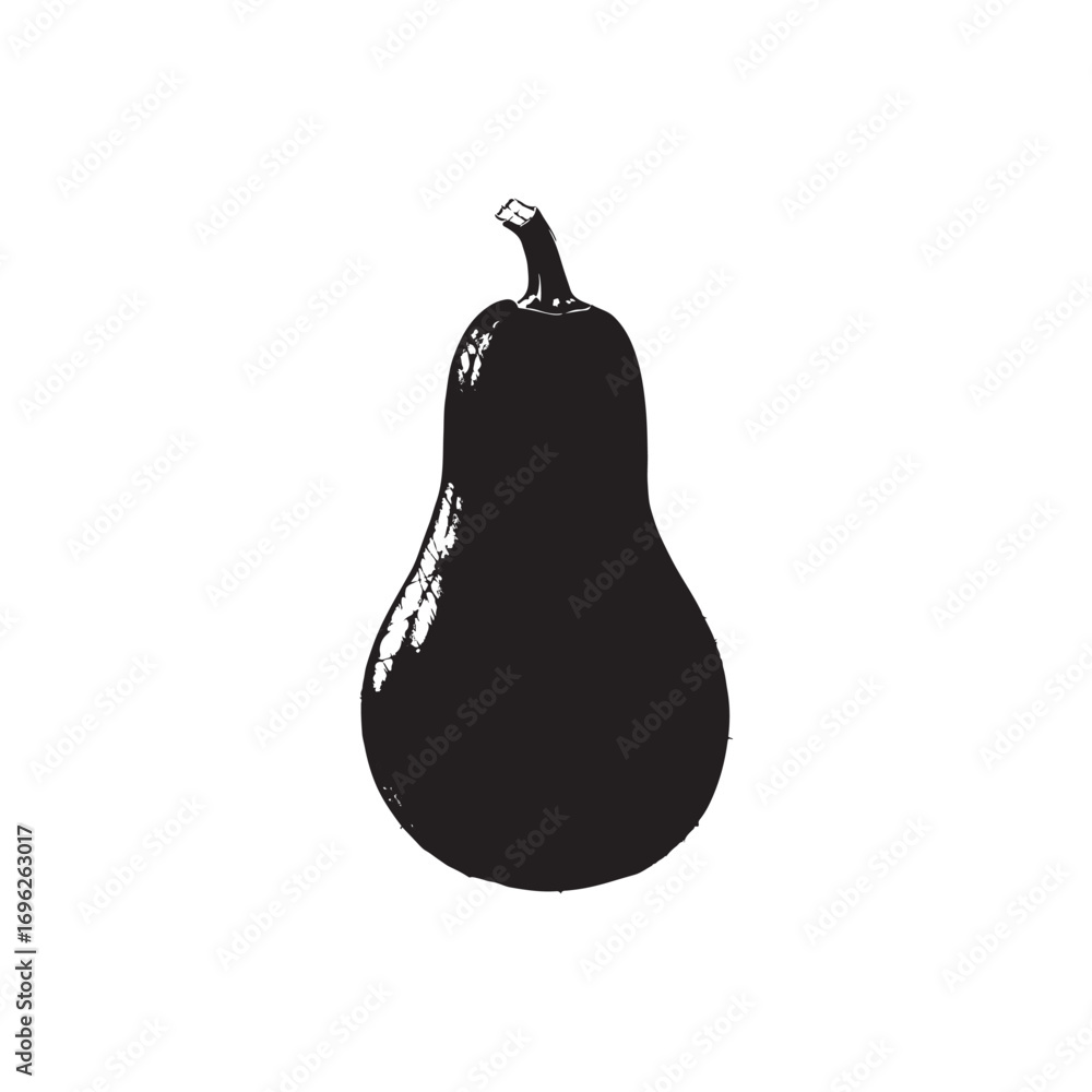 Obraz premium Squash Vector (2).eps