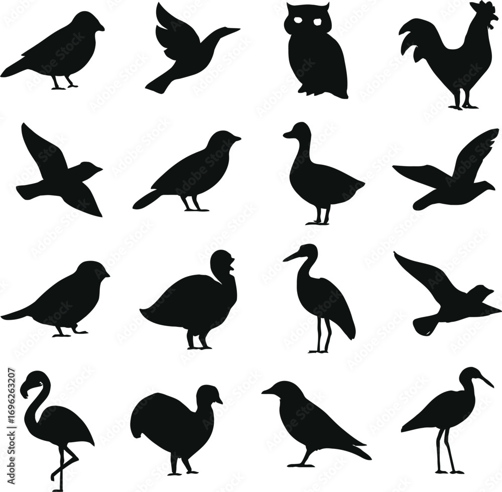 Fototapeta premium A collection of black vector silhouettes of different kinds of flying birds 