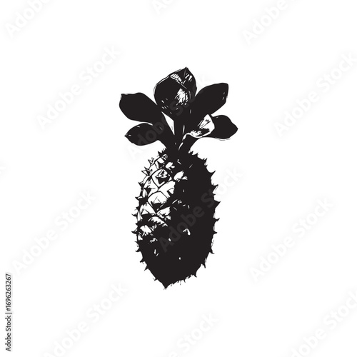 Taro Vector (2).eps