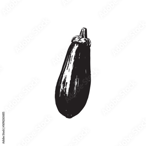 Zucchini Vector (3).eps