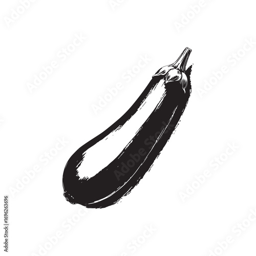 Zucchini Vector (4).eps