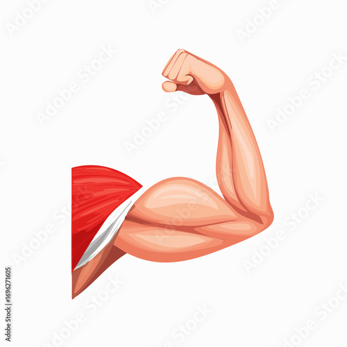 Forearm muscle